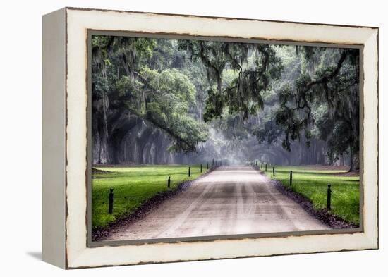 Plantation Road, Charleston, South Carolina-George Oze-Framed Premier Image Canvas