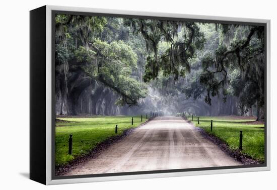 Plantation Road, Charleston, South Carolina-George Oze-Framed Premier Image Canvas