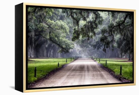 Plantation Road, Charleston, South Carolina-George Oze-Framed Premier Image Canvas