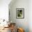 Planter and Arched Entrance to Garden in Casa de Pilatos Palace, Sevilla, Spain-Merrill Images-Framed Photographic Print displayed on a wall