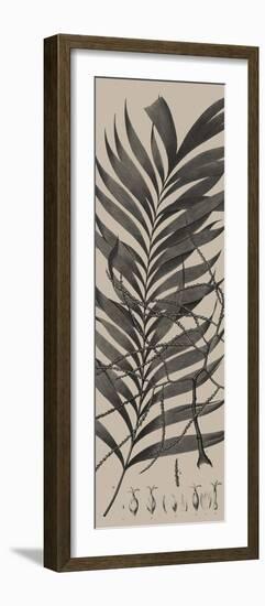 Plantes Exotique I-Maria Mendez-Framed Giclee Print