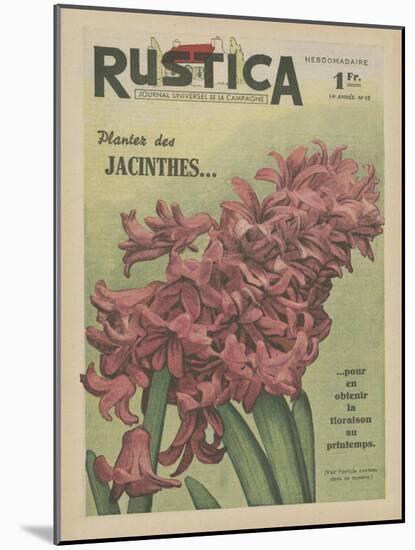 Plantez des Jacinthes-null-Mounted Art Print