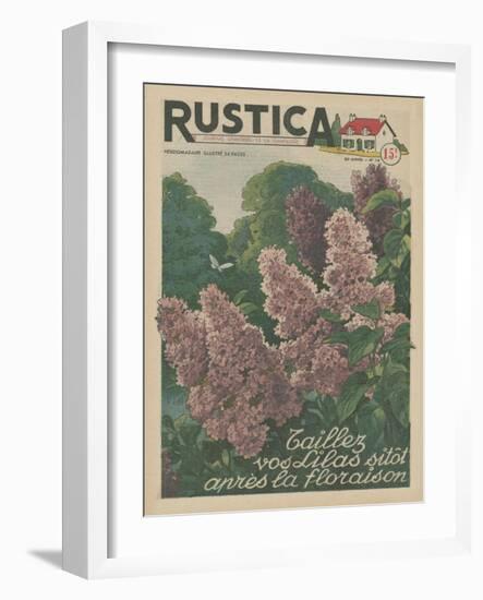 Plantez des Lilacs-null-Framed Art Print