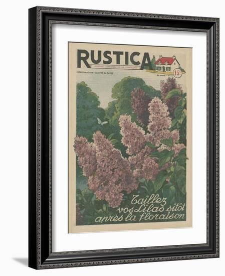 Plantez des Lilacs-null-Framed Art Print