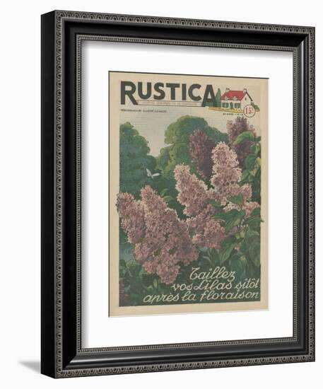 Plantez des Lilacs-null-Framed Art Print