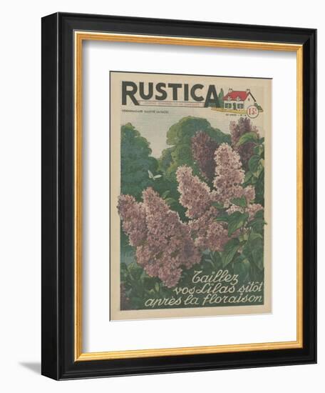 Plantez des Lilacs-null-Framed Art Print