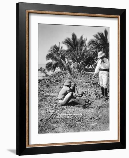 Planting Coconuts, Solomon Island, Fiji, 1905-null-Framed Giclee Print