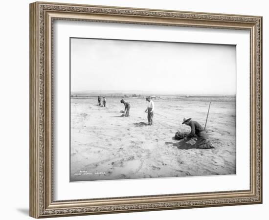 Planting Trees Near Grandview, WA, 1911-Ashael Curtis-Framed Giclee Print