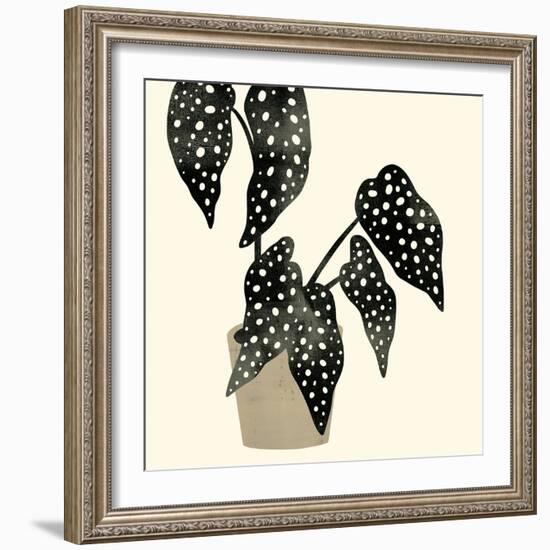 Plantling III-Victoria Barnes-Framed Premium Giclee Print