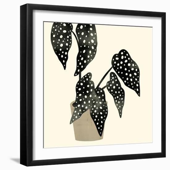 Plantling III-Victoria Barnes-Framed Premium Giclee Print