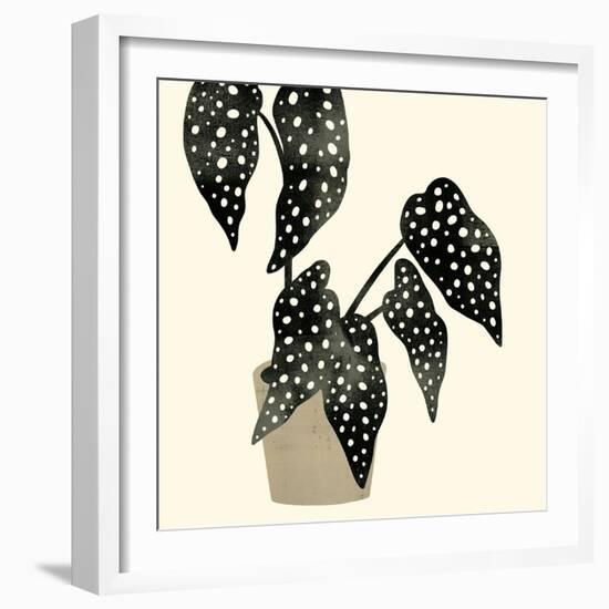 Plantling III-Victoria Barnes-Framed Art Print