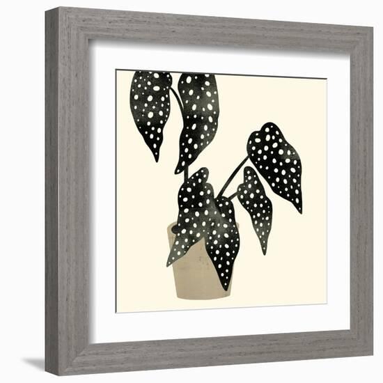 Plantling III-Victoria Barnes-Framed Art Print