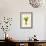 Plants, Alpinia Galanga-null-Framed Premium Giclee Print displayed on a wall