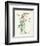 Plants, Althaea Rosea-Walter Crane-Framed Art Print