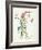 Plants, Althaea Rosea-Walter Crane-Framed Art Print
