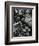 Plants and Leaves, Hawaii, c. 1985-Brett Weston-Framed Photographic Print