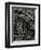 Plants and Leaves, Hawaii, c. 1985-Brett Weston-Framed Photographic Print