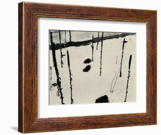 Plants and Snow, Nevada, 1953-Brett Weston-Framed Photographic Print