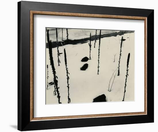 Plants and Snow, Nevada, 1953-Brett Weston-Framed Photographic Print