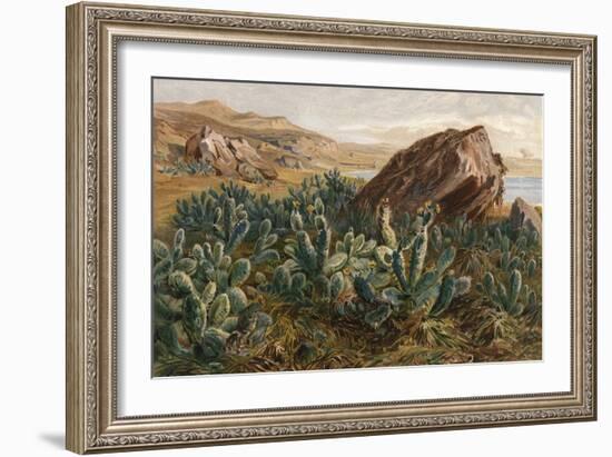 Plants, Cactus, Mexico-Ernst Heyn-Framed Art Print