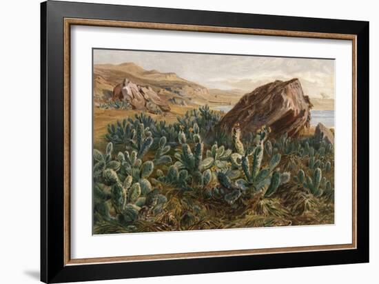 Plants, Cactus, Mexico-Ernst Heyn-Framed Art Print