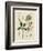 Plants from Hot Countries-null-Framed Giclee Print