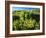 Plants Growing in Field, Logan River, Franklin Basin, Bear River Range, Cache National Forest-Scott T. Smith-Framed Photographic Print