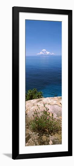 Plants Growing on the Rocks on North Island with Praslin Island in the Background, Seychelles-null-Framed Photographic Print