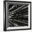 Plants, Hawaii, c. 1985-Brett Weston-Framed Photographic Print