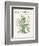 Plants, Helleborus Niger-Walter Crane-Framed Premium Giclee Print