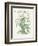 Plants, Helleborus Niger-Walter Crane-Framed Premium Giclee Print