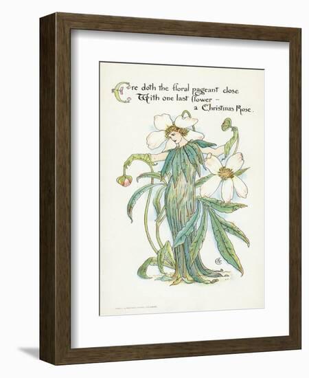 Plants, Helleborus Niger-Walter Crane-Framed Premium Giclee Print