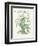 Plants, Helleborus Niger-Walter Crane-Framed Premium Giclee Print