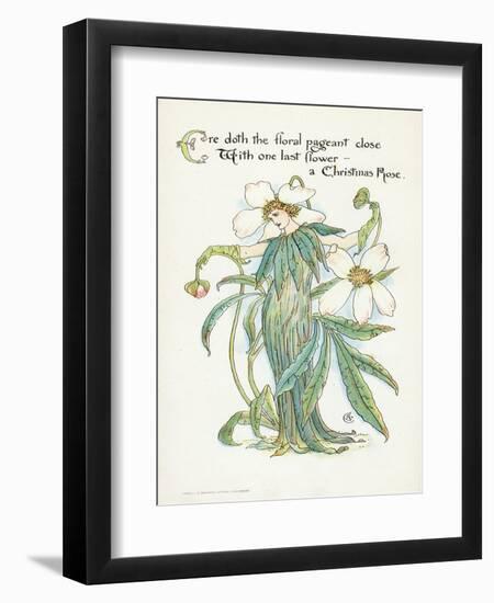 Plants, Helleborus Niger-Walter Crane-Framed Premium Giclee Print
