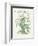 Plants, Helleborus Niger-Walter Crane-Framed Premium Giclee Print