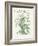 Plants, Helleborus Niger-Walter Crane-Framed Art Print