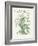 Plants, Helleborus Niger-Walter Crane-Framed Art Print