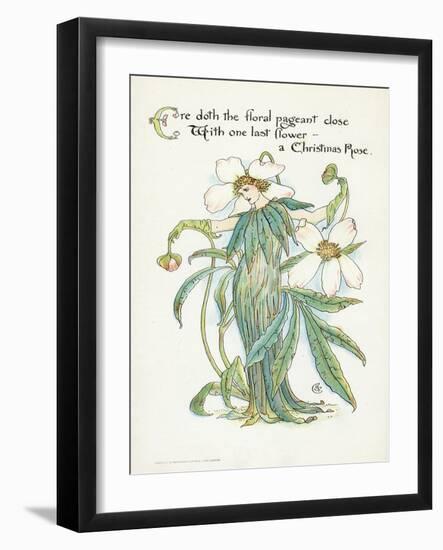 Plants, Helleborus Niger-Walter Crane-Framed Art Print