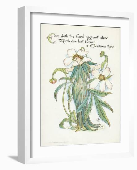 Plants, Helleborus Niger-Walter Crane-Framed Art Print