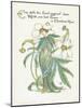 Plants, Helleborus Niger-Walter Crane-Mounted Art Print