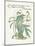 Plants, Helleborus Niger-Walter Crane-Mounted Art Print