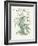 Plants, Helleborus Niger-Walter Crane-Framed Art Print