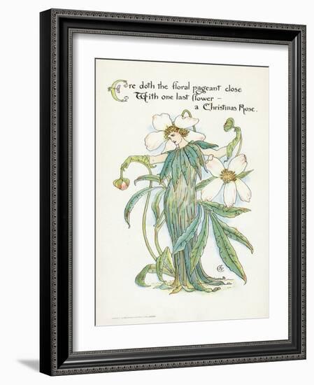 Plants, Helleborus Niger-Walter Crane-Framed Art Print