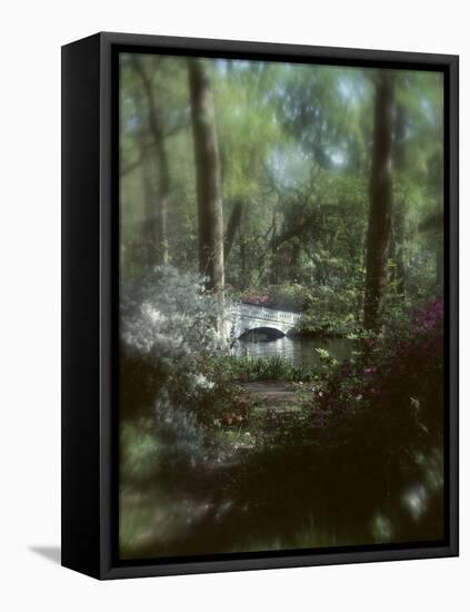 Plants in a Garden-null-Framed Premier Image Canvas