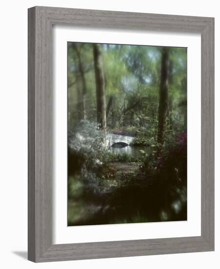 Plants in a Garden-null-Framed Photographic Print