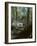 Plants in a Garden-null-Framed Photographic Print