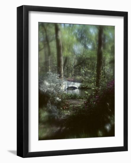 Plants in a Garden-null-Framed Photographic Print