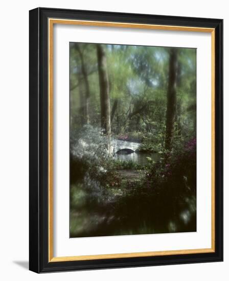 Plants in a Garden-null-Framed Photographic Print