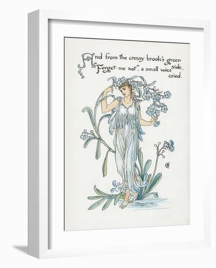 Plants, Myosotis-Walter Crane-Framed Art Print