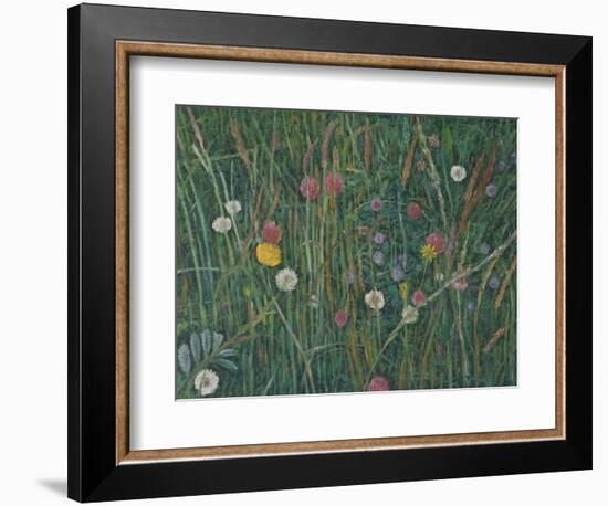 Plants of the Machair, 2008-Ruth Addinall-Framed Giclee Print